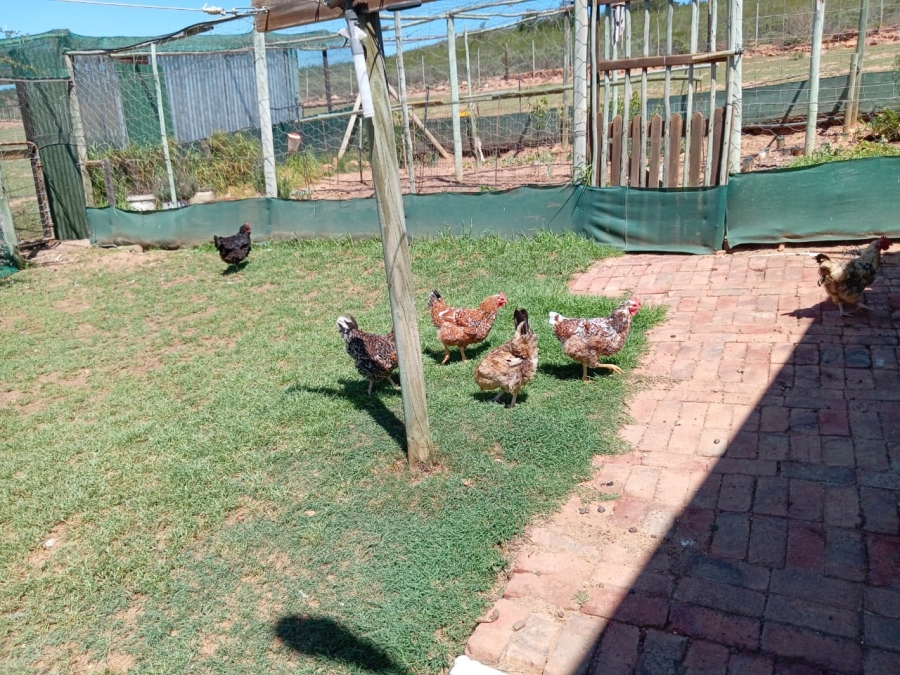 3 Bedroom Property for Sale in Joubertina Eastern Cape